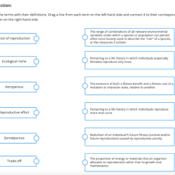 Match each term to its description.