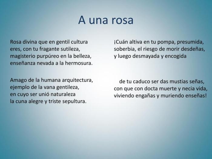 A una rosa sor juana english