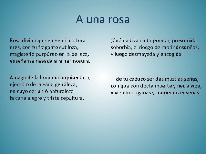 A una rosa sor juana english