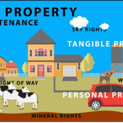 Examples of appurtenances in real estate