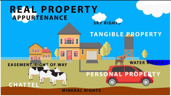 Examples of appurtenances in real estate