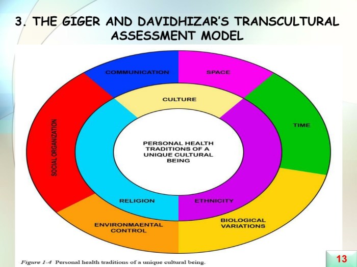 Giger davidhizar transcultural assessment model