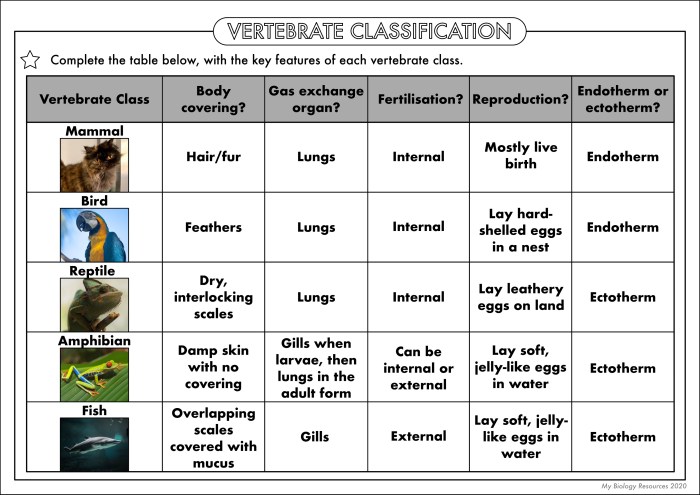 Biological classification worksheet answer key