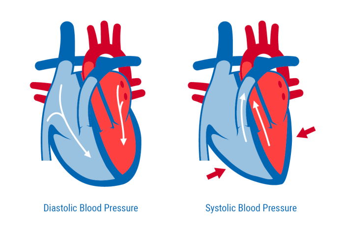 Match the following term to its correct description diastolic pressure