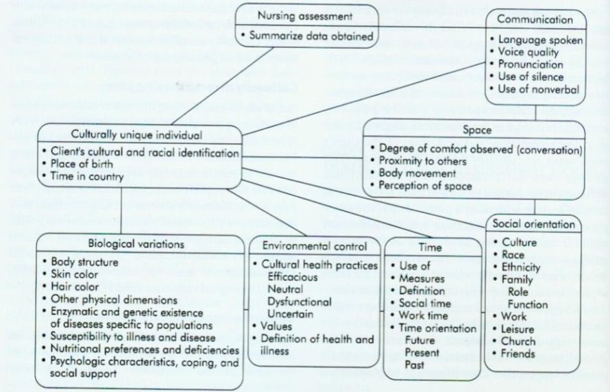 Giger davidhizar transcultural assessment model