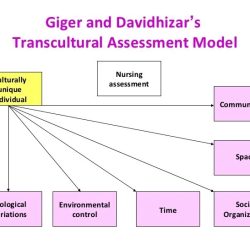 Revised giger transcultural assessment mia