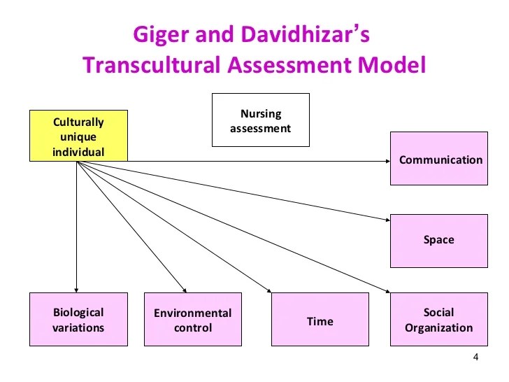 Revised giger transcultural assessment mia