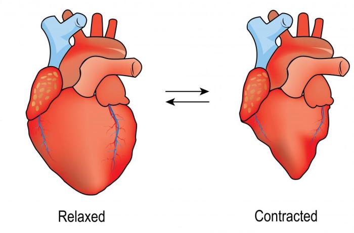 Pressures normal cardiac chambers heart pressure swan cath pcwp chart indicating diagrams nursing medical cardiology diagram blood numbers lab ganz